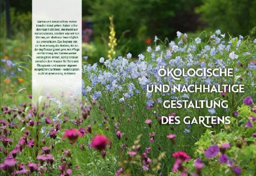 Buchcover und Innenansicht für das Buch: Echte Hitzeprofis