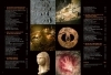 Buchcover und Innenansicht für das Buch: Homo sapiens
