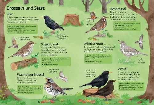 Buchcover und Innenansicht für das Buch: Ich erkunde die Natur: Unsere Vögel