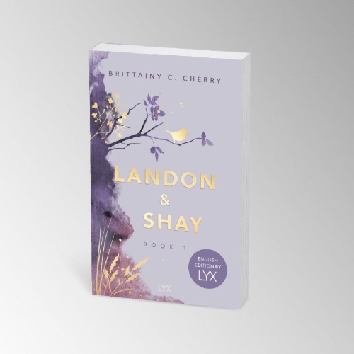 Buchcover und Innenansicht für das Buch: Landon & Shay