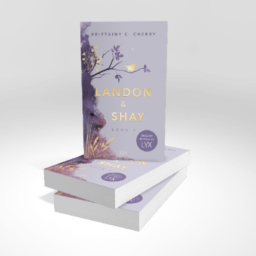 Buchcover und Innenansicht für das Buch: Landon & Shay