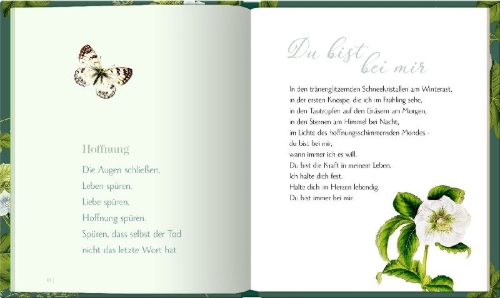 Buchcover und Innenansicht für das Buch: Erinnerung ist Liebe, die bleibt