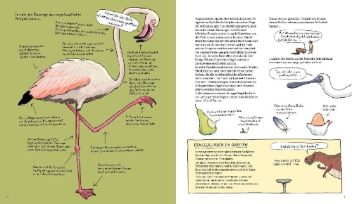 Buchcover und Innenansicht für das Buch: Omnibird