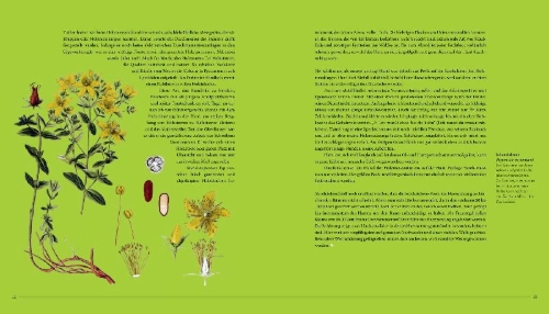 Buchcover und Innenansicht für das Buch: Die sanfte Medizin der Bäume