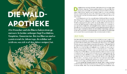 Buchcover und Innenansicht für das Buch: Die sanfte Medizin der Bäume