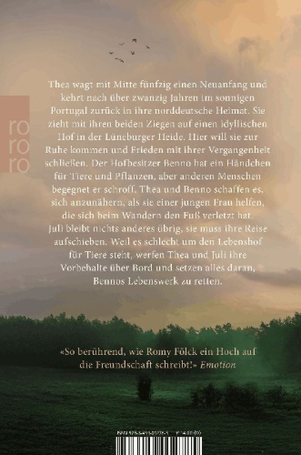 Buchcover und Innenansicht für das Buch: Das Licht in den Birken