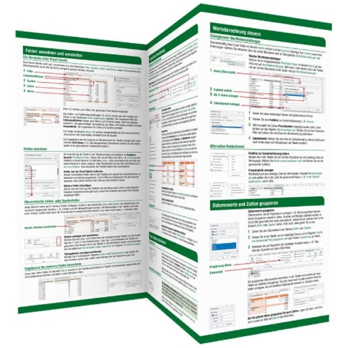 Buchcover und Innenansicht für das Buch: Pivot-Tabellen (PivotTable) Microsoft Excel 365 / Excel 2019 - 2021