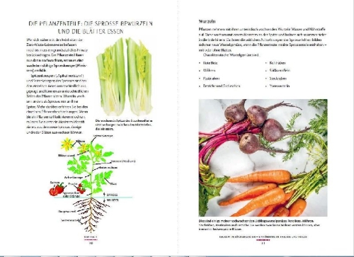 Buchcover und Innenansicht für das Buch: no-waste litchen gardening