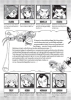 Buchcover und Innenansicht für das Buch: Pokémon - Die ersten Abenteuer