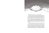 Buchcover und Innenansicht für das Buch: Legends of Lotus Island #01, Into the shadow mist - Band 01 von 04