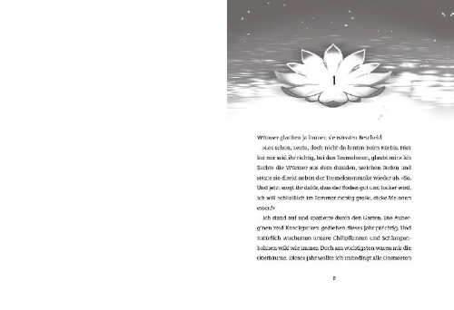 Buchcover und Innenansicht für das Buch: Legends of Lotus Island #01, Into the shadow mist - Band 01 von 04