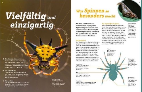 Buchcover und Innenansicht für das Buch: WAS IST WAS Spinnen. Akrobaten auf acht Beinen