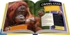 Buchcover und Innenansicht für das Buch: National Geographic Kids - Abenteuer einer Wildtierärztin