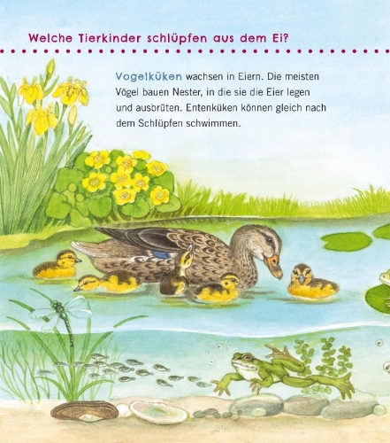 Buchcover und Innenansicht für das Buch: Unkaputtbar: Erstes Wissen: Tiere und ihre Kinder