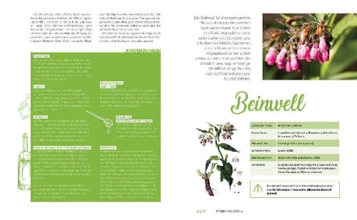 Buchcover und Innenansicht für das Buch: Heilkräuter aus den Alpen