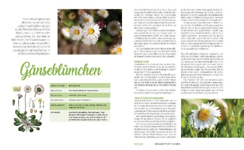 Buchcover und Innenansicht für das Buch: Heilkräuter aus den Alpen