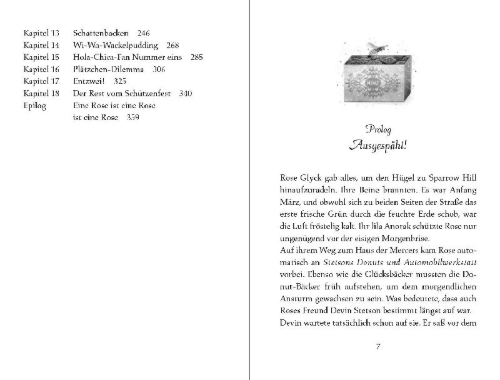Buchcover und Innenansicht für das Buch: The Magic Twins. A Bliss Novel