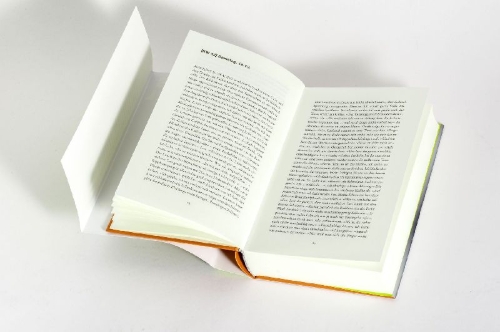 Buchcover und Innenansicht für das Buch: Crashtest Dummies