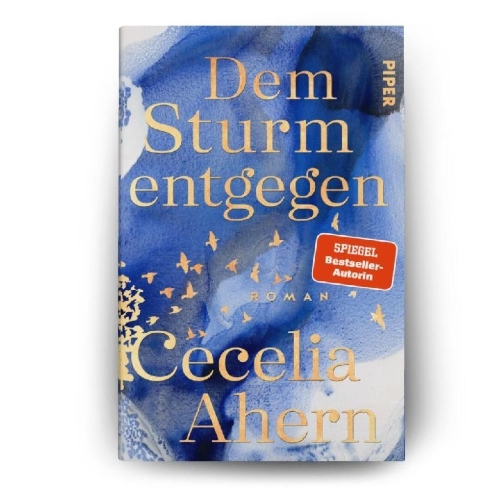 Buchcover und Innenansicht für das Buch: Into the Storm