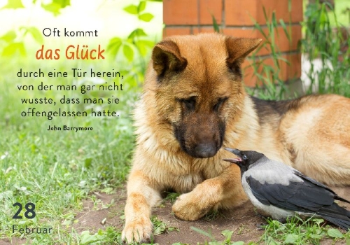 Buchcover und Innenansicht für das Buch: 365 mal tierisch gut drauf!