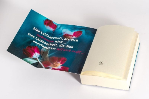 Buchcover und Innenansicht für das Buch: For Better. Ossessione