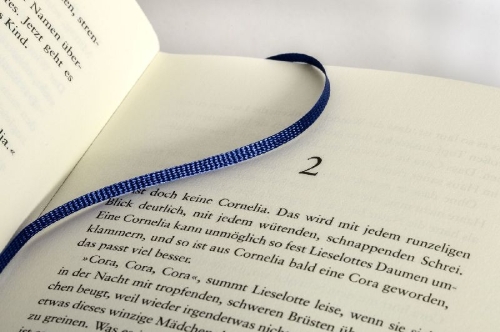 Buchcover und Innenansicht für das Buch: Die Riesinnen