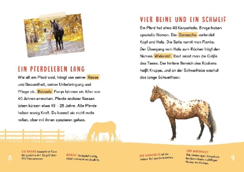 Buchcover und Innenansicht für das Buch: Dein Lesestart - Pferde und Ponys