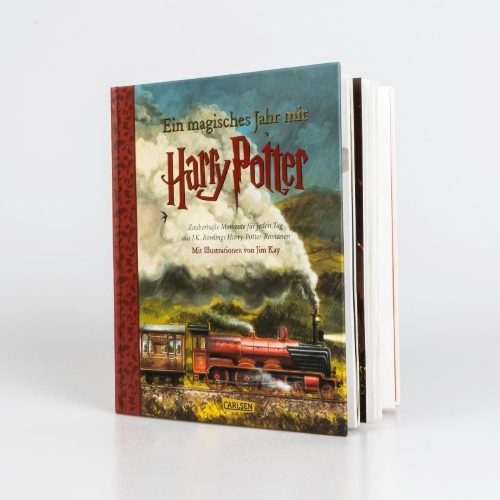 Buchcover und Innenansicht für das Buch: A Magical Year