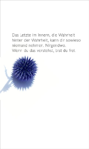 Buchcover und Innenansicht für das Buch: Museum der Einsamkeit