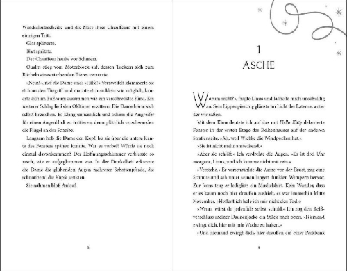 Buchcover und Innenansicht für das Buch: Nacht aus Rauch und Nebel (Eisenheim-Dilogie, Band 2)