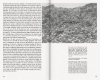 Buchcover und Innenansicht für das Buch: It Began in Ipanema