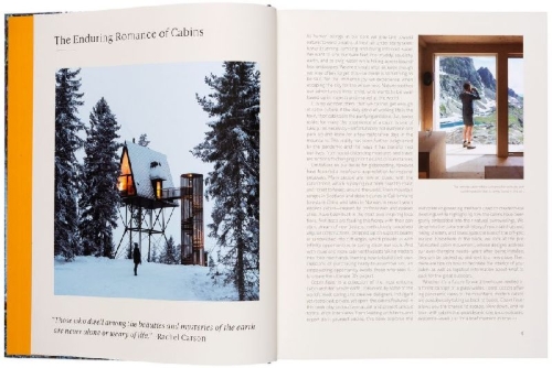 Buchcover und Innenansicht für das Buch: Cabin Fever