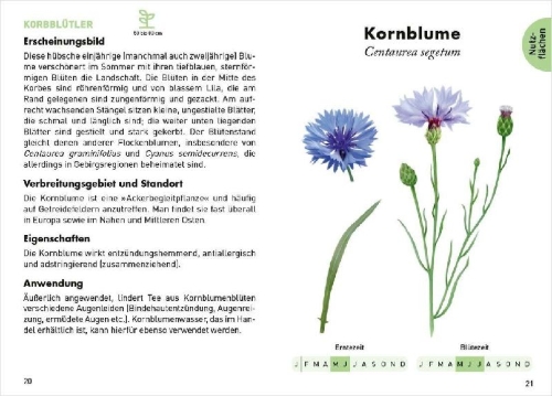 Buchcover und Innenansicht für das Buch: Le Petit guide des plantes médicinales