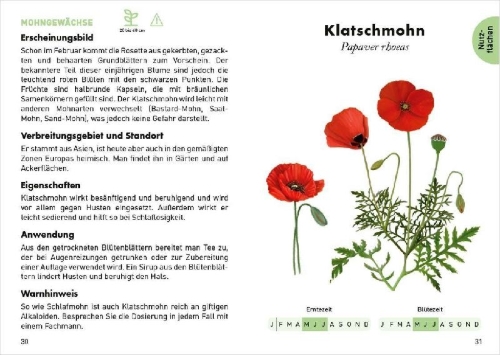 Buchcover und Innenansicht für das Buch: Le Petit guide des plantes médicinales