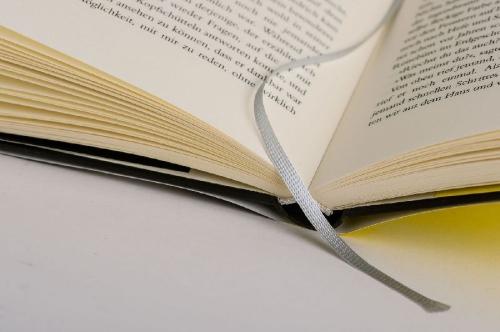 Buchcover und Innenansicht für das Buch: Die Verlassenen -