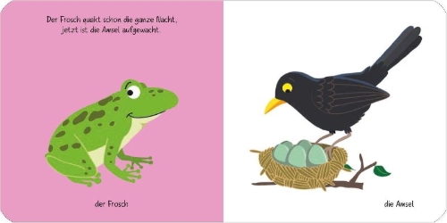 Buchcover und Innenansicht für das Buch: Kennst du das? Babys erstes Bildwörterbuch. Jeden Tag ein neues Tier