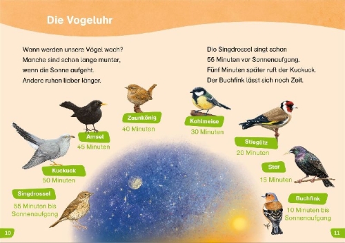 Buchcover und Innenansicht für das Buch: WAS IST WAS Erstes Lesen easy! Wie leben unsere Vögel?