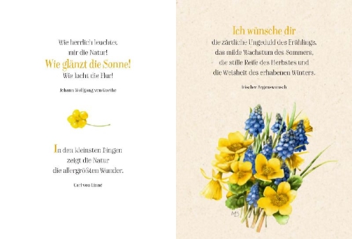 Buchcover und Innenansicht für das Buch: Die Sonne lacht für dich