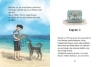 Buchcover und Innenansicht für das Buch: Famous Five Colour Short Stories
