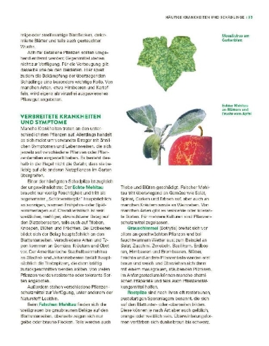 Buchcover und Innenansicht für das Buch: Das große Gemüse- und Obstgartenbuch