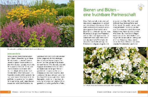 Buchcover und Innenansicht für das Buch: Die schönsten Pflanzen für Bienen und Hummeln. Für Garten, Balkon & Terrasse
