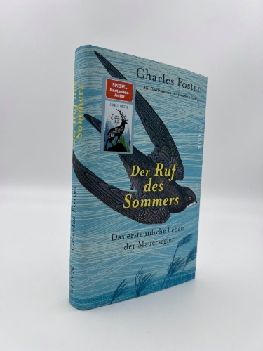 Buchcover und Innenansicht für das Buch: The screaming Sky