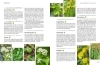 Buchcover und Innenansicht für das Buch: Der Selbstversorger: Mein Gartenwissen