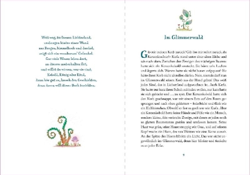 Buchcover und Innenansicht für das Buch: Lichterland 1. Die Suche nach dem magischen Amulett