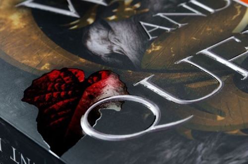 Buchcover und Innenansicht für das Buch: The War of the two Queens