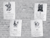 Buchcover und Innenansicht für das Buch: A Streetdog named Pup