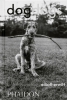 Buchcover und Innenansicht für das Buch: Dogdogs