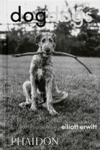 Buchcover und Innenansicht für das Buch: Dogdogs
