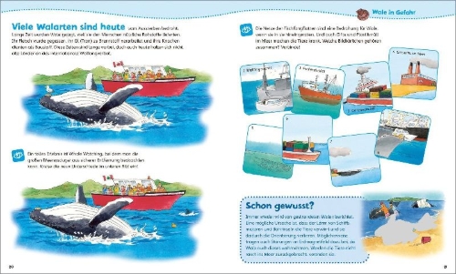 Buchcover und Innenansicht für das Buch: WAS IST WAS Junior Mitmach-Heft. Wale und Delfine.
