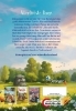 Buchcover und Innenansicht für das Buch: Die Ponys von Lillasund 4. Das Mittsommer-Turnier